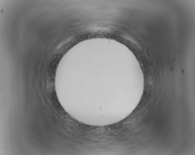 X0000067950869200605112123