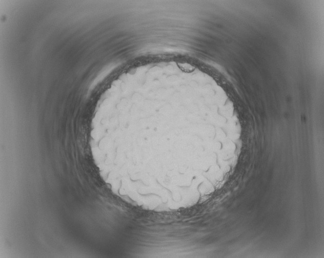 X0000067950871200605112123