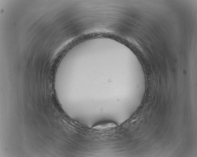 X0000067950872200605112123