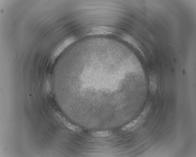 X0000067950874200605112123