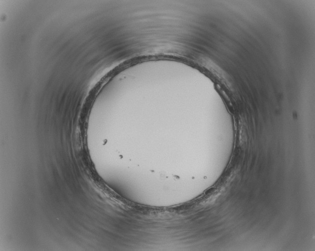 X0000067950876200605112123