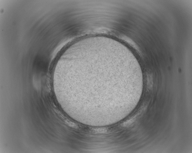 X0000067950878200605112123