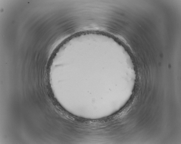 X0000067950879200605112123