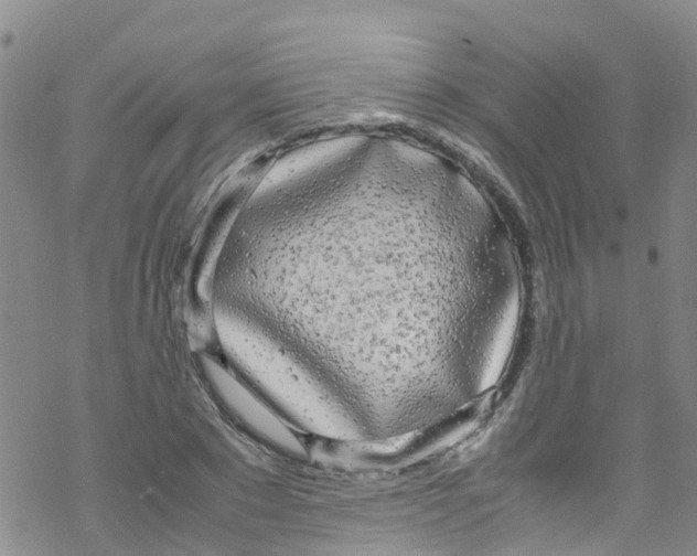 X0000067950881200605112123