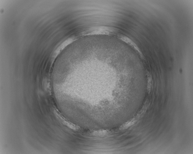 X0000067950882200605112123