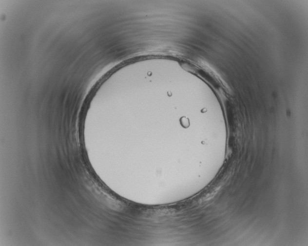 X0000067950884200605112122