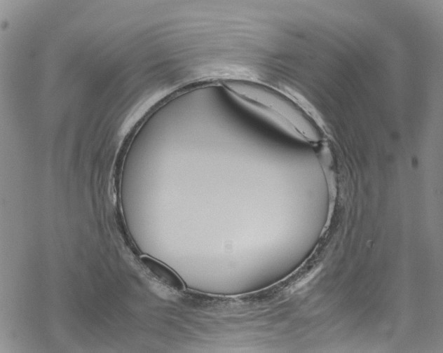 X0000067950885200605112122