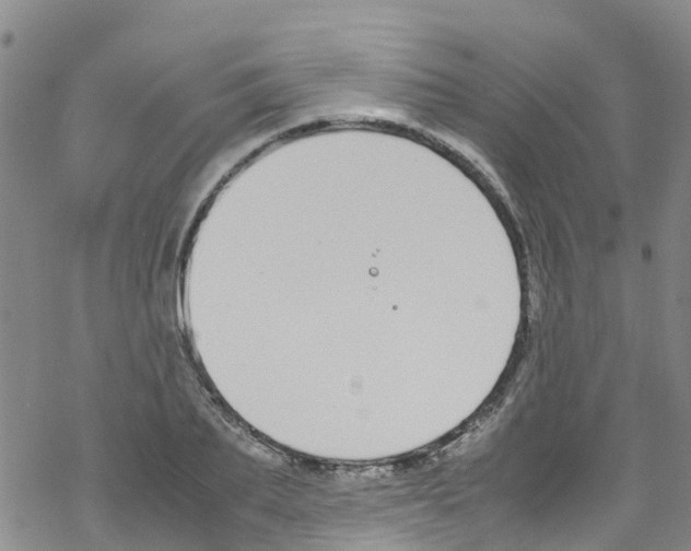 X0000067950887200605112122