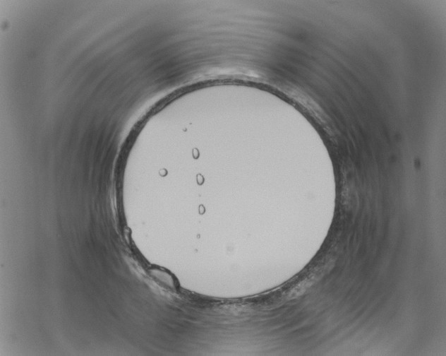 X0000067950888200605112122