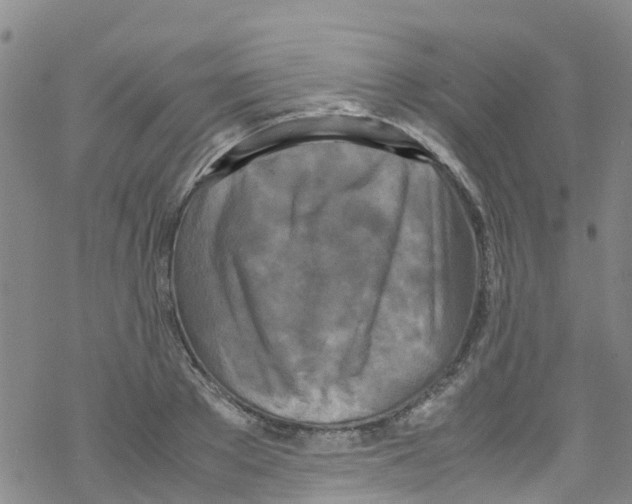 X0000067950889200605112122