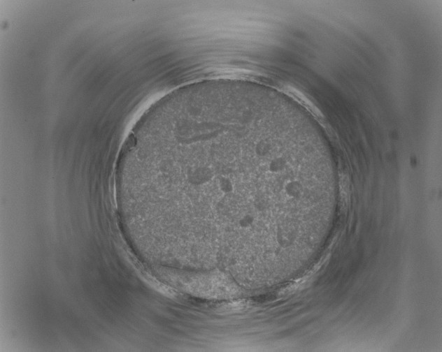 X0000067950891200605112122