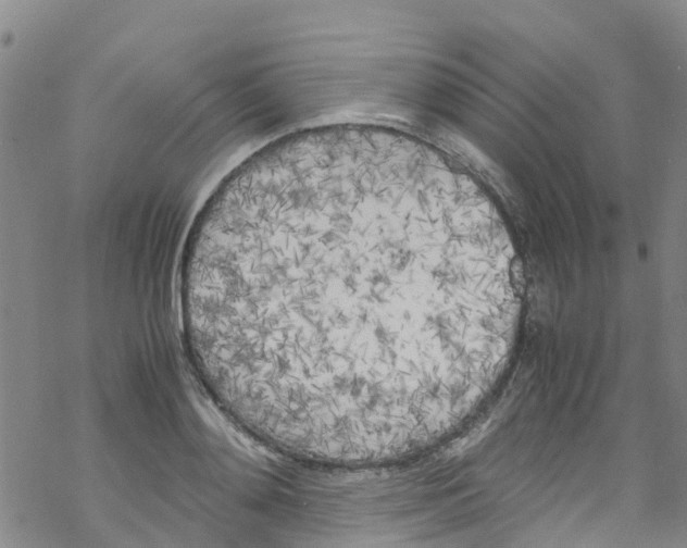 X0000067950892200605112122