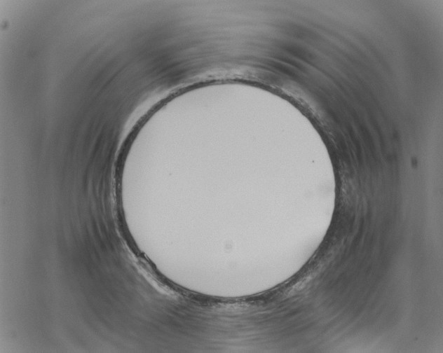 X0000067950894200605112122