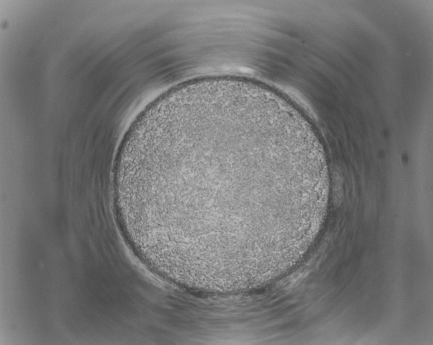 X0000067950895200605112122