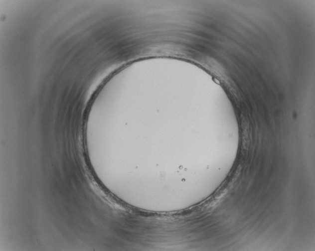 X0000067950896200605112122