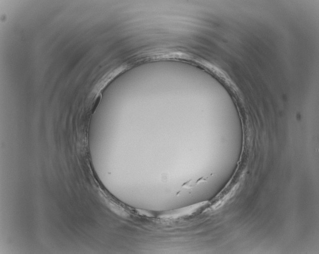 X0000067950897200605112122