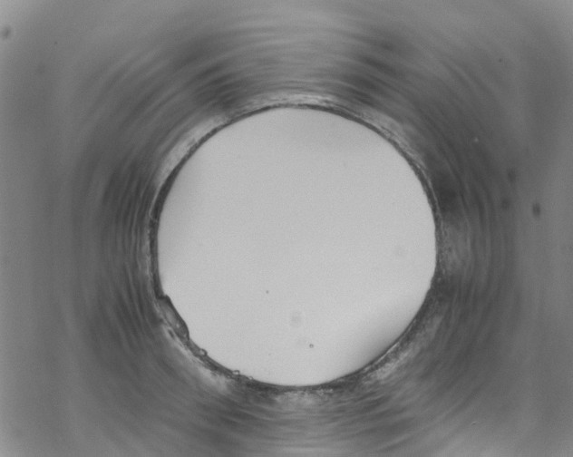 X0000067950898200605112122