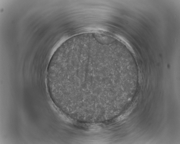 X0000067950899200605112122