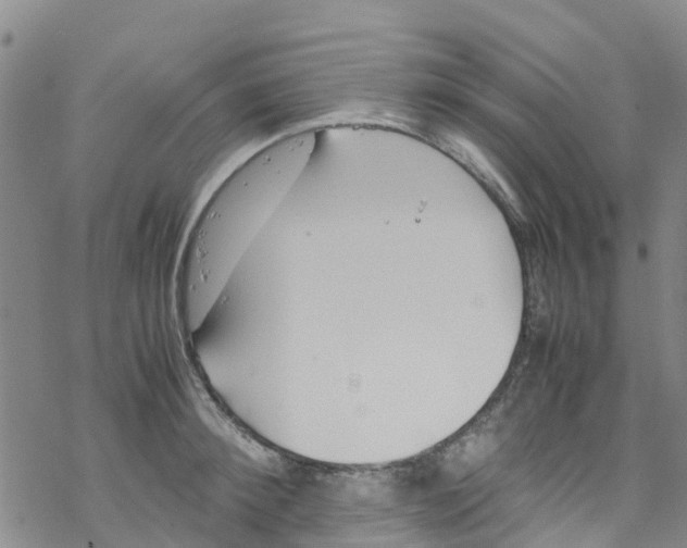 X0000067950900200605112122