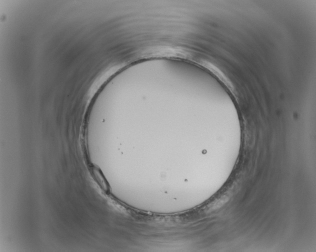 X0000067950901200605112122