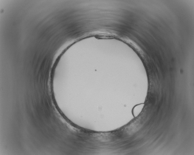 X0000067950902200605112122