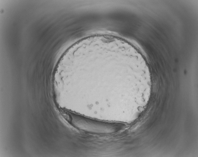 X0000067950903200605112122