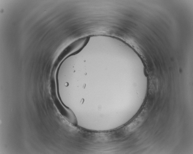 X0000067950904200605112122