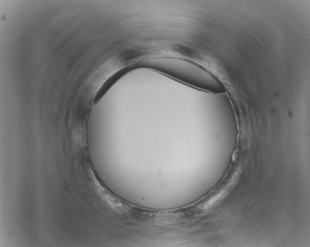 X0000067950905200605112122