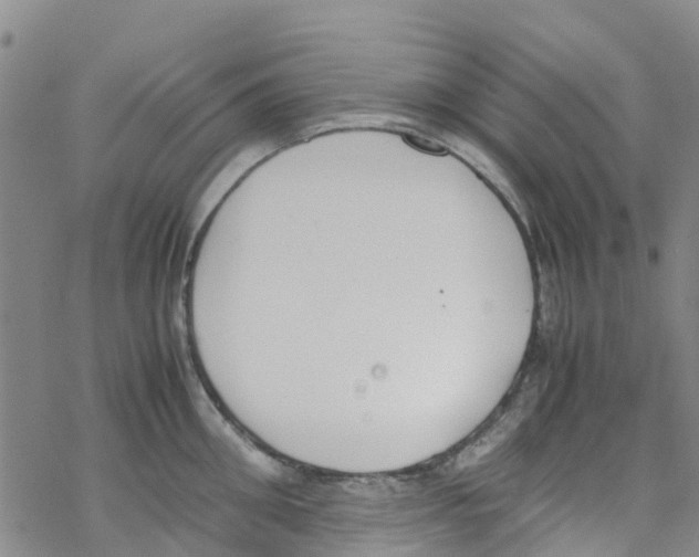 X0000067950906200605112122