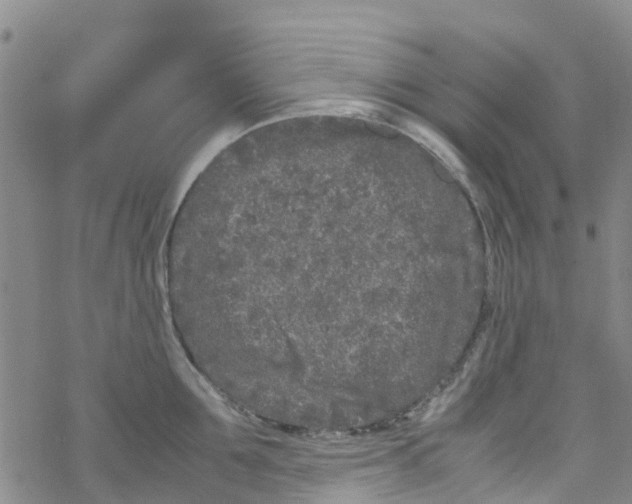 X0000067950907200605112122