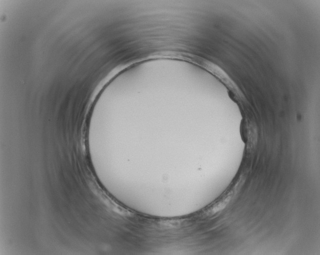 X0000067950908200605112122