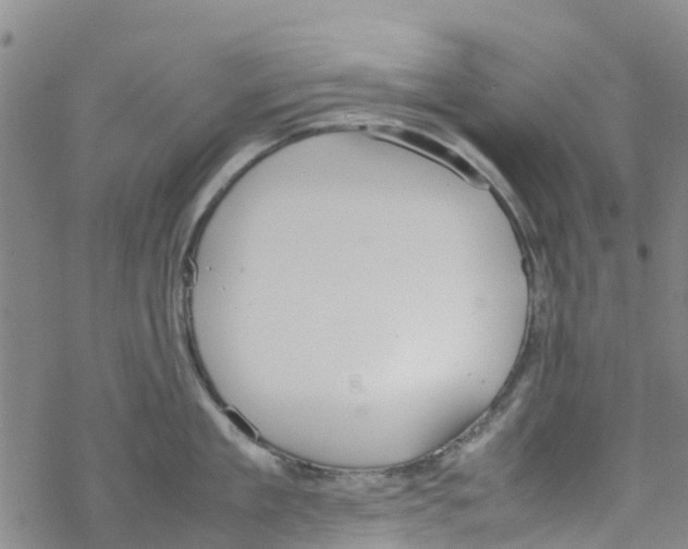 X0000067950909200605112122