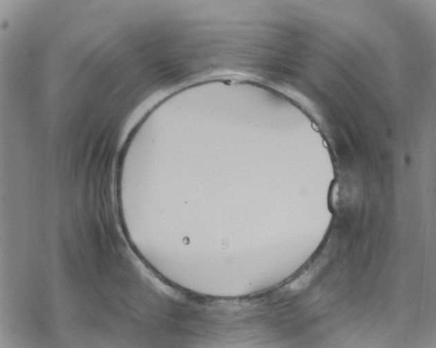 X0000067950910200605112122