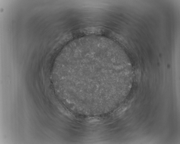 X0000067950913200605112121