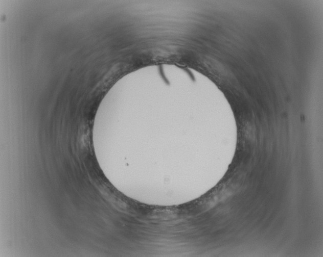 X0000067950914200605112121