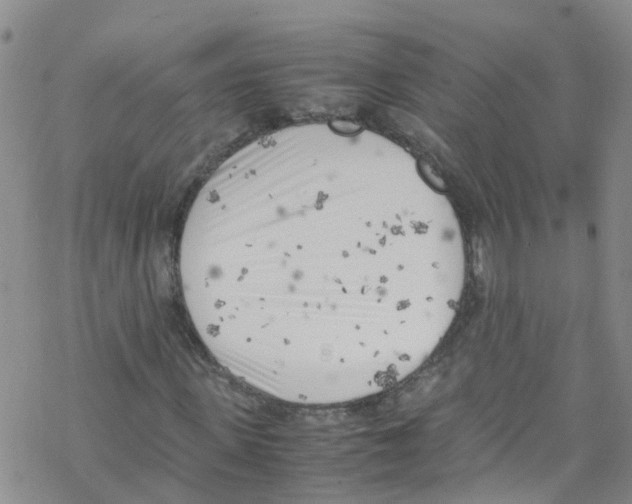 X0000067950915200605112121