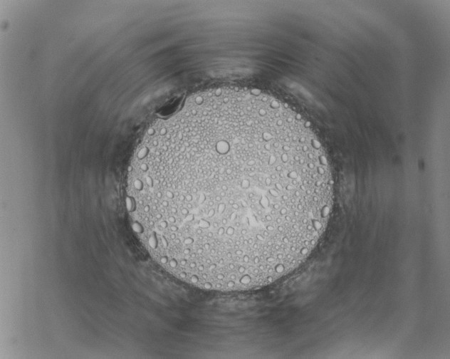 X0000067950917200605112121