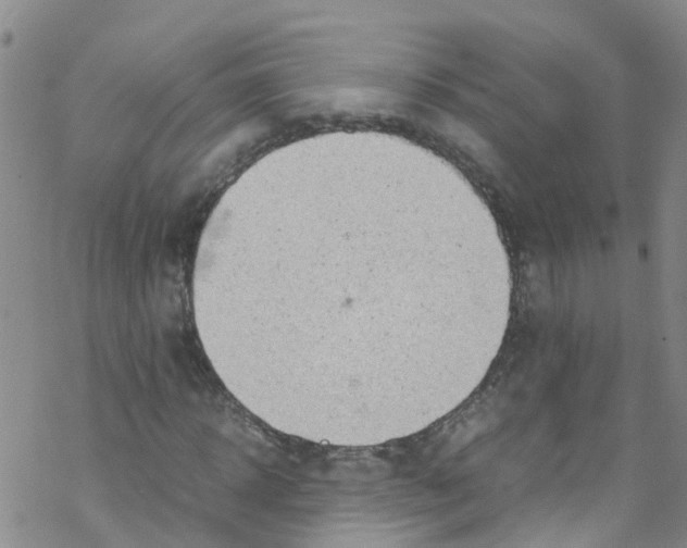 X0000067950918200605112121