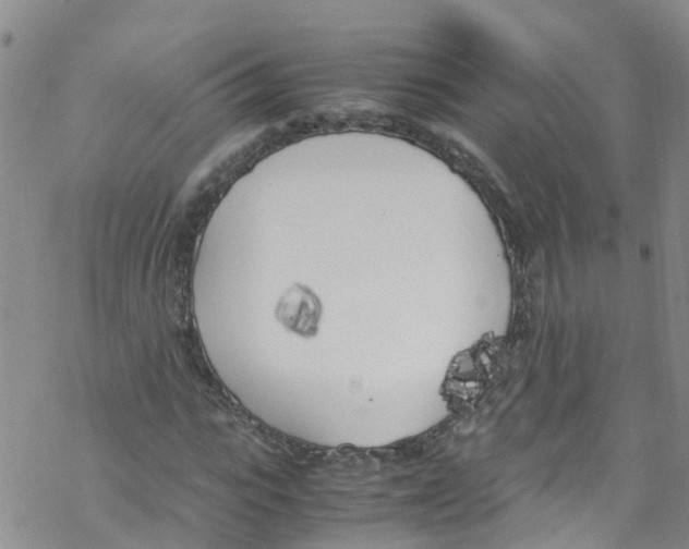 X0000067950919200605112121