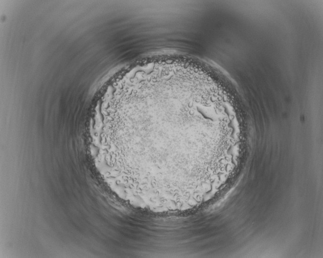 X0000067950921200605112121