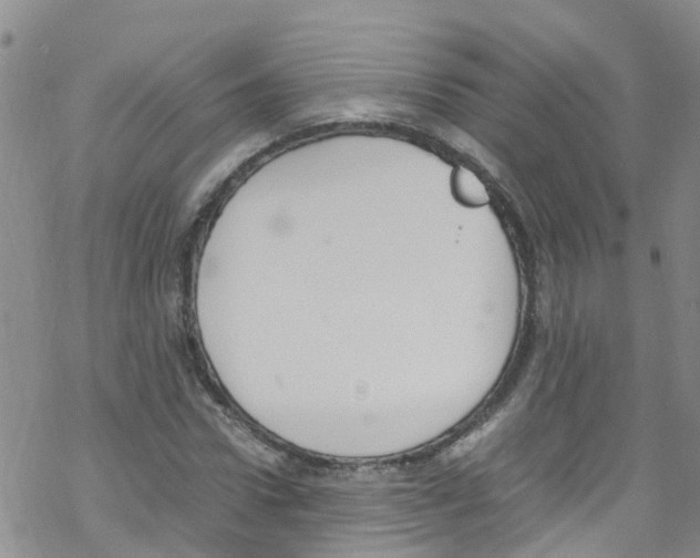 X0000067950922200605112121