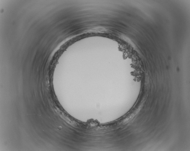 X0000067950923200605112121