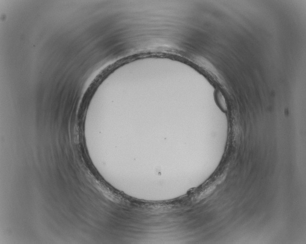 X0000067950924200605112121