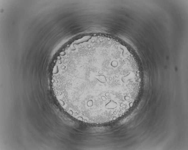 X0000067950925200605112121