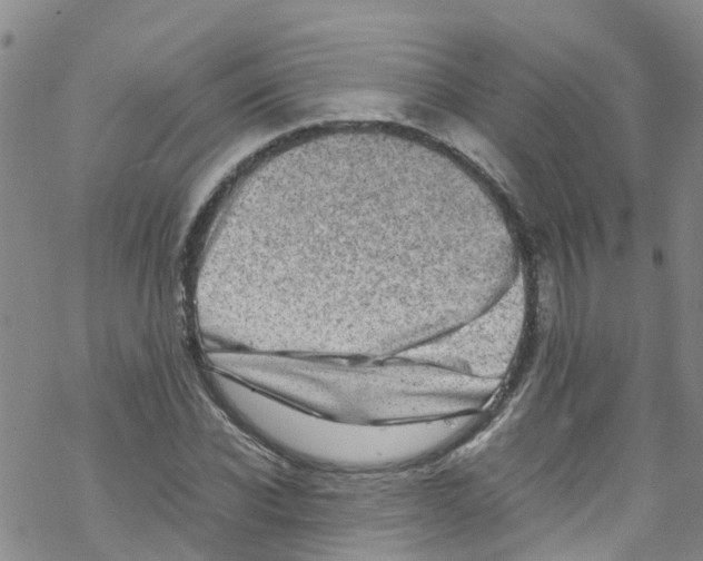 X0000067950926200605112121