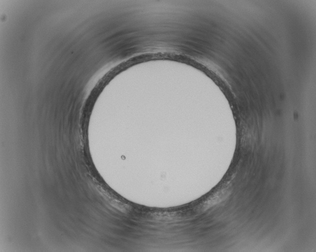 X0000067950927200605112121