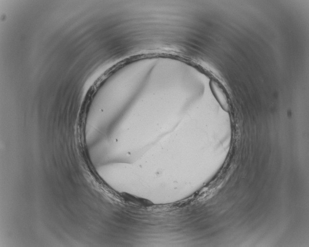 X0000067950928200605112121