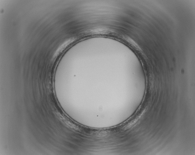 X0000067950930200605112121