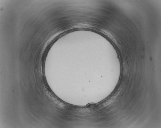 X0000067950931200605112121