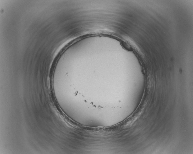 X0000067950932200605112121